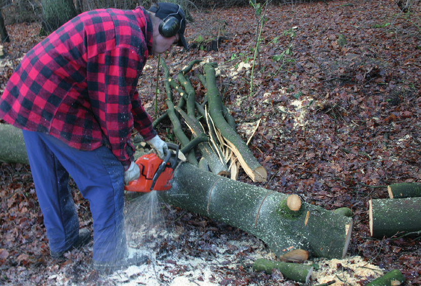 1 Veiligheid bij het boswerk geldt voor iedereen Omzagen en het korten van hout zijn risicovolle werkzaamheden.