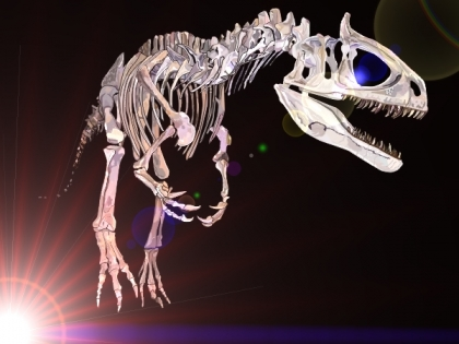 Een skelet opbouwen Met de gevonden botten worden de skeletten van dinosaurussen weer opgebouwd. Hoe dat gedaan wordt kun je zien in de volgende aflevering van klokhuis.