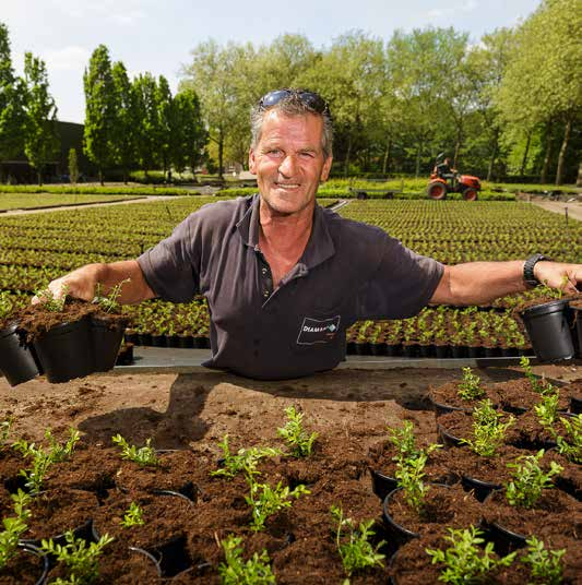 Jou moeten ze niet binnen laten werken! Nee, buitenwerk past echt bij jou! Wellicht buitenwerk bij de Kwekerij op een mooie en rustige locatie van Trappistenabdij Koningshoeven?