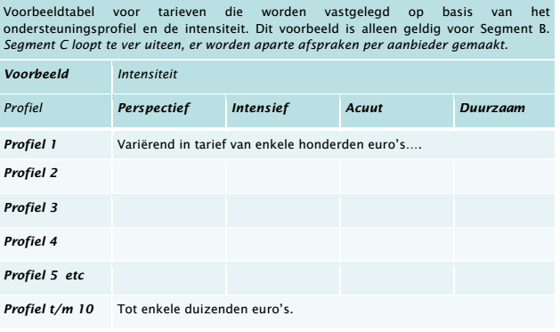 * Ontwikkelperspectief Van belang is dat het samenspel tussen ouders, verwijzers (lokaal team of huisarts), de regisseur en de hoofdaannemer wordt ontwikkeld.