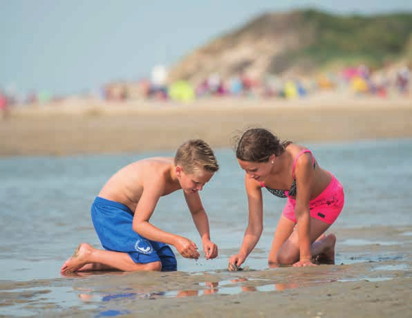 Camping Natuurlijk ontspannen aan de kust van Zeeuws-Vlaanderen Direct aan het prachtige natuurgebied Het Zwin, in het pittoreske plaatsje Retranchement, ligt deze gezellige familiecamping waar je