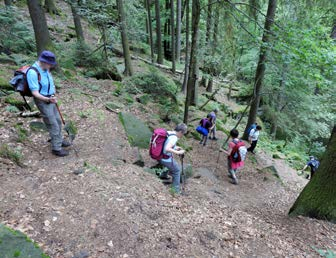 66 pen naar de Schrammsteingratweg (over de kam) met het uitzichtpunt op de Schrammsteine. Vanuit Lichtenhainer Wasserfall wandelt u naar de indrukwekkende grot Kuhstall op de Neue Wildenstein.