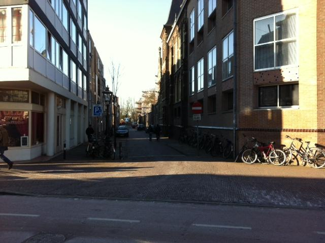 Figuur 9 Langebrug, Zonneveldstraat en Rapenburg Parkeerautomaten in Leiden. Soms staat er wel een bord bij en soms niet. Waarom? Als het nu op veel plekken zonder kan waarom dat niet overal zonder?