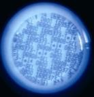 Productvoorstelling SelectaDNA Markeringsvloeistof bevat 4 componenten Transparant opdrogende vloeistof op waterbasis UV (365-390Nm) indicator Duizenden microdots met unieke alpha/numerieke code