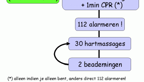 CPR-schema volgens