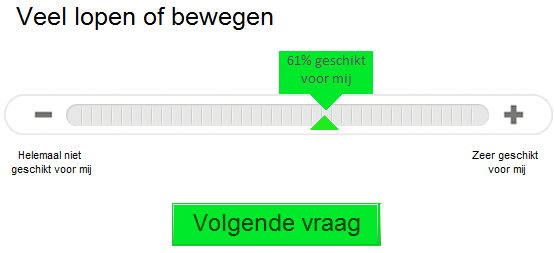 TESTKENMERKEN Vraag die voor de respondent beantwoord wordt Welke werksoort en werkcontext past bij mij? Constructieperiode November 2010 juli 2011. Herconstructiedatum September 2011.