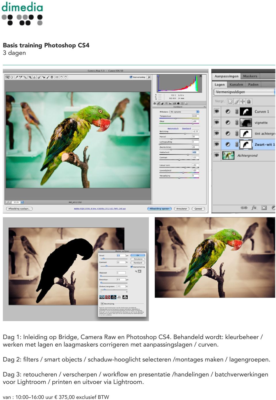 Dag 2: filters / smart objects / schaduw-hooglicht selecteren /montages maken / lagengroepen.