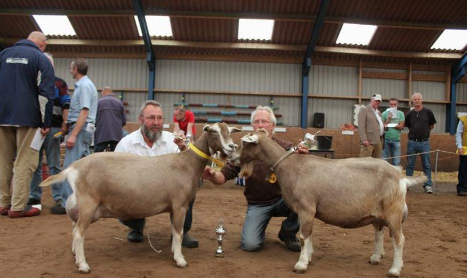 Nationale NCW-keuring Jubbega Kampioen Geiten