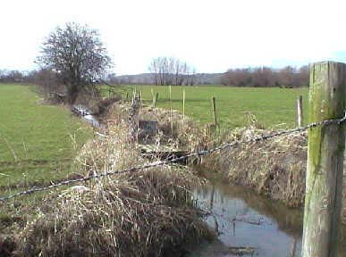 6. Inrichting Uitgangspunt is dat de huidige waarde van de Polder groot is. Grootschalige ingrepen moeten daarom worden vermeden of in ieder geval tot een uiterste worden beperkt.