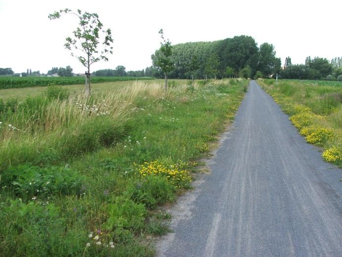 Hier voorziet het inrichtingsplan in een heraanleg in ternair zand en 2,5m breed zonder kantopsluiting (foto referentie Kezelbergroute).