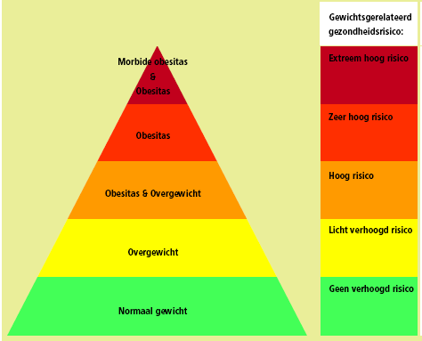 Tabel 1 Niveau van gewichtsgerelateerde gezondheidsrisico volwassenen (PON) BMI* 25-30 30-35 35-40 Normale buikomvang, < 102 cm (m), < 88 cm (v) Grote buikomvang, 102 cm (m), 88 cm (v), Comorbiditeit