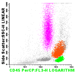 Voorbeelden van CD56 expressie