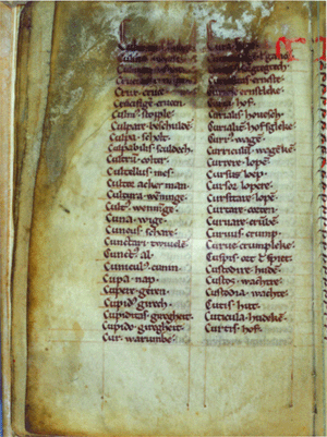 Het Glossarium Bernense: een woordenlijst Latijn - West-Limburgs. (Bern, Bürgerbibliothek, ms. 641, fol.