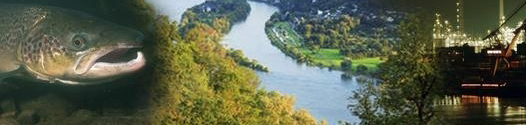Evaluatie van de effectiviteit van maatregelen ter verlaging van de hoogwaterstanden in de Rijn