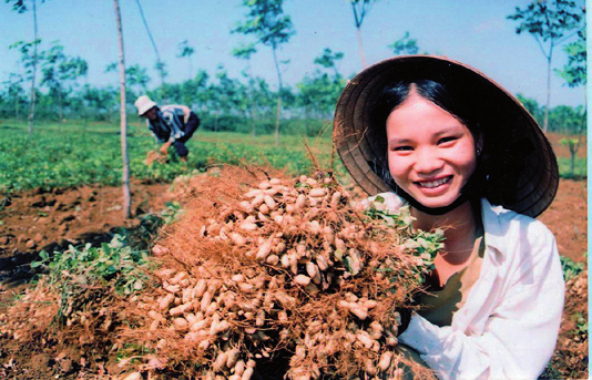 BINNENSTEBUITEN MET AFLATOUN: WERKBLAD 1 vervolg MIJN BUSINESSPLAN Missie (Wat is er zo speciaal aan jullie bedrijf?) In Vietnam zijn de Aflatoun kids een keukenkruidentuintje begonnen.