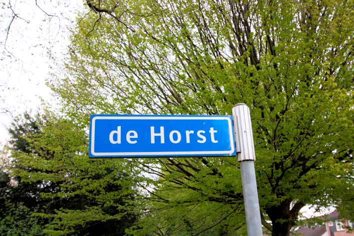 DE HORST 2 HASSELT Soort woning Bouwtype Status Bouwjaar Ligging Woonopp. Perceelopp.