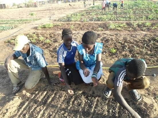 Voortgangsrapportage januari juni Landbouwproject Gomboro, Burkina Faso (2012 ) Sinds 2012 voert Heifer Nederland in samenwerking met de Burkinese partner Asudec (Africa s Sustainable Development