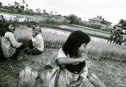 Tonen wat eraan gedaan wordt Vietnam: goed op weg naar voedselsoevereiniteit Oxfam-Solidariteit financierde in 2002 de installatie van een waterpompstation in Thanh Chuong, een district in