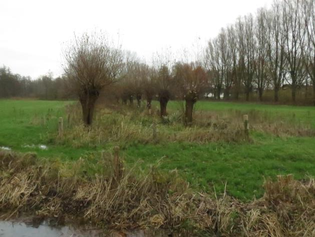 EKBA Doelstelling grotendeels bereikt abiotische factoren zijn beperkend voor ontwikkelen van ecologische waarden (niet verontreiniging) Gewassenonderzoek: geen relatie tussen gehalte metalen in de