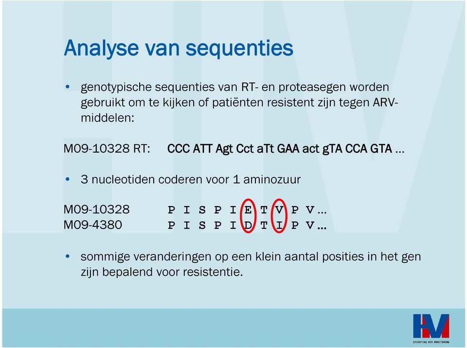 gta CCA GTA 3 nucleotiden coderen voor 1 aminozuur M9-1328 P I S P I E T V P V.