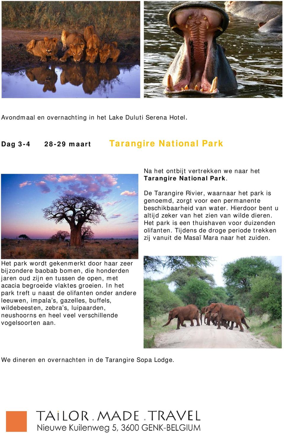 Het park is een thuishaven voor duizenden olifanten. Tijdens de droge periode trekken zij vanuit de Masaï Mara naar het zuiden.
