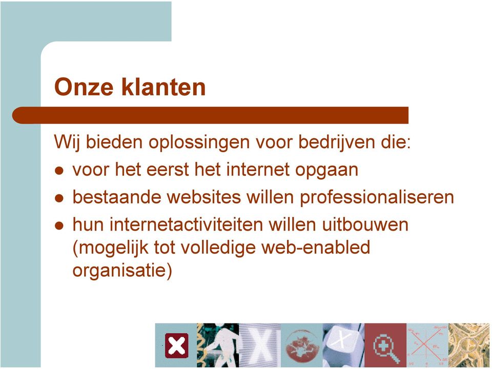 willen professionaliseren hun internetactiviteiten