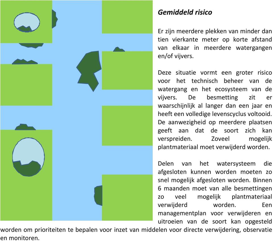 De besmetting zit er waarschijnlijk al langer dan een jaar en heeft een volledige levenscyclus voltooid. De aanwezigheid op meerdere plaatsen geeft aan dat de soort zich kan verspreiden.