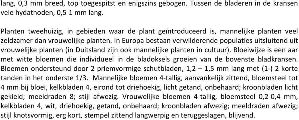 In Europa bestaan verwilderende populaties uitsluitend uit vrouwelijke planten (in Duitsland zijn ook mannelijke planten in cultuur).