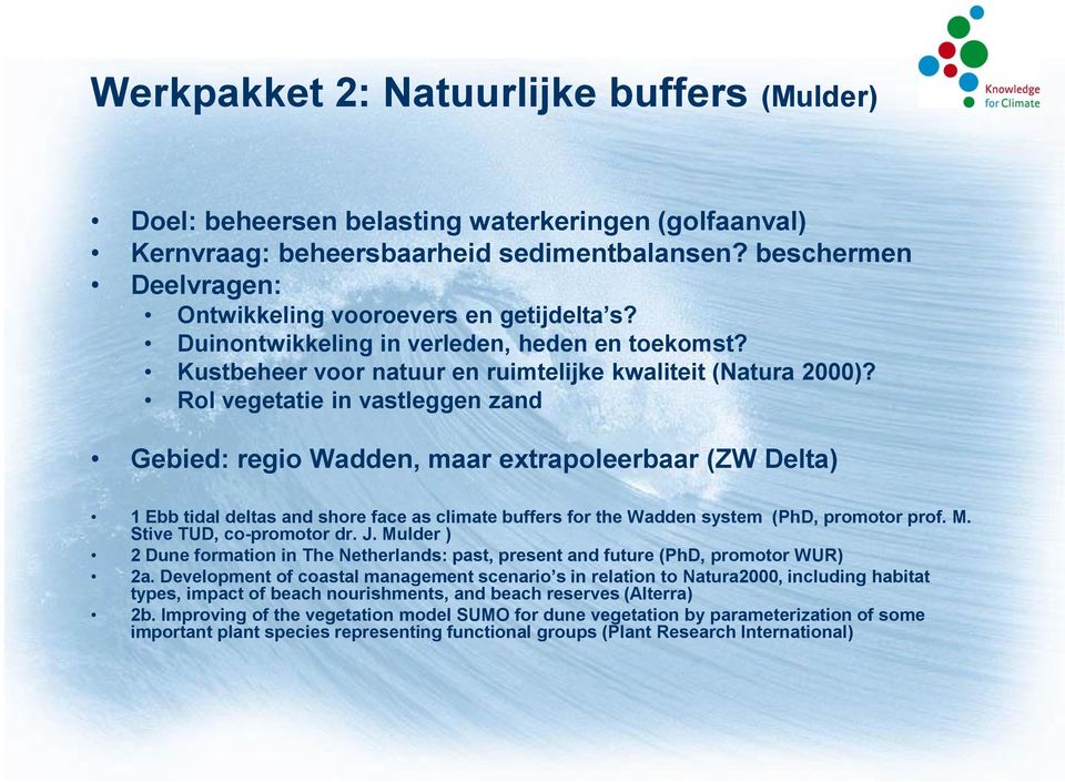 Rol vegetatie in vastleggen zand Gebied: regio Wadden, maar extrapoleerbaar (ZW Delta) 1 Ebb tidal deltas and shore face as climate buffers for the Wadden system (PhD, promotor prof. M.