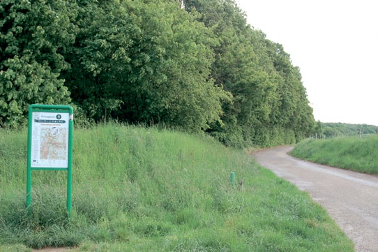 ONBEPERKT RECREËREN IN MAASTRICHT INLEIDING Voor u ligt de Brochure Scootmobielroute Landgoederenzone en Heuvelland Route. Met grote zorg en op basis van eigen ervaring is deze voor u samengesteld.