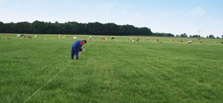 Modern standweiden Bij modern standweiden deelt een veehouder zijn grasland op in blokken, waarop koeien meerdere weken achtereen kunnen grazen.
