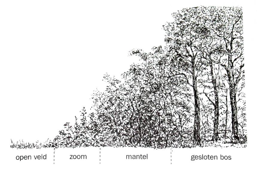 Maak openbaar groen natuurvriendelijker In sommige gemeenten 'adopteren' burgers stukken openbaar groen om verharding tegen te gaan. Goed voor Koevinkje, Huiszwaluw, Laatvlieger e.a. Met name in deelgebied Urbaan.