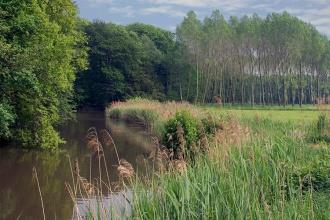 Engels raaigras omvormen naar natuurlijker grasland. Verrijkte graslanden zijn waardevoller voor insecten en vlinders. Goed voor Koevinkje, Hazelworm e.a. Met name in Extensief productiegebied.