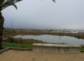 30-11-2010. Isla Cristina - Huelva. Het heeft ook deze nacht behoorlijk wat geregend. Maar s morgens wordt het toch nog droog. We kijken nog even aan het strand.