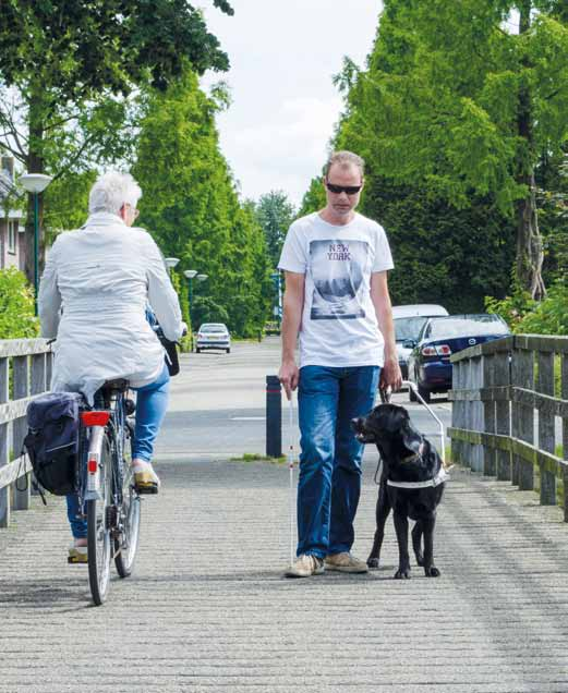 Platform voor Mensen met een