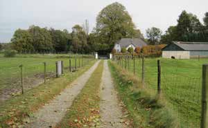 Inspiratiebeelden Bebouwing en beplanting vormen een geheel. Beplanting is gelaagd (haag, struiken, bomen) en streekeigen met eenvoudige erfinrichting.