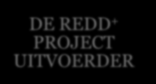 DE BESTURING VAN HET REDD + PROGRAMMA DE NATIONALE REDD + BELEIDS