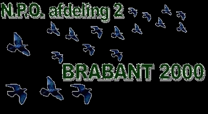 Inhoudsopgave Kampioenenboek Pagina Inhoudsopgave 1 Programma 1 Organisatie 2 Jeugddag 2 Voorwoord 3 1e prijswinnaars 4 Seizoen 2013 7 Hokkampioenschappen 8 Duifkampioenschappen 13 Met dank aan.