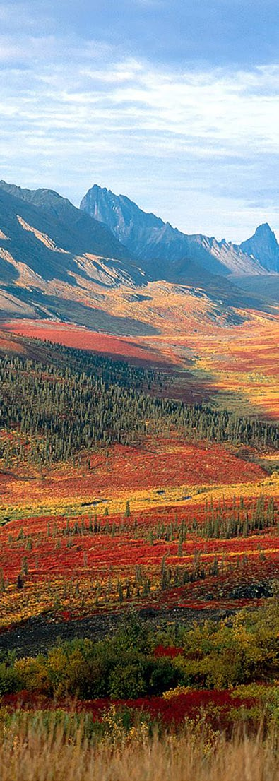 Deze autorondreis is bijzonder geschikt om kennis te maken met de Yukon Territory.