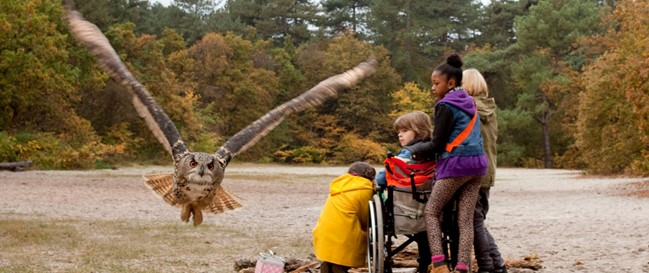 Pagina 6 Autismevriendelijke voorstelling UILENBAL LingeFilm organiseert op zondag 18 december 2016 om 11 uur een speciale voorstelling voor autistische kinderen en hun ouders of verzorgers.