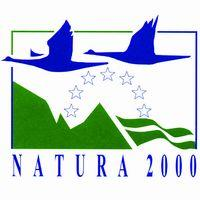 Planning en financiën 2015 Uitvoering Natura 2000-beheerplan Voordelta Eindconcept D.D. 22-06-2015 Beheerplan Voordelta Aan: Bevoegd Gezag Overleg (BGO) Natura 2000-beheerplan Voordelta: Min.