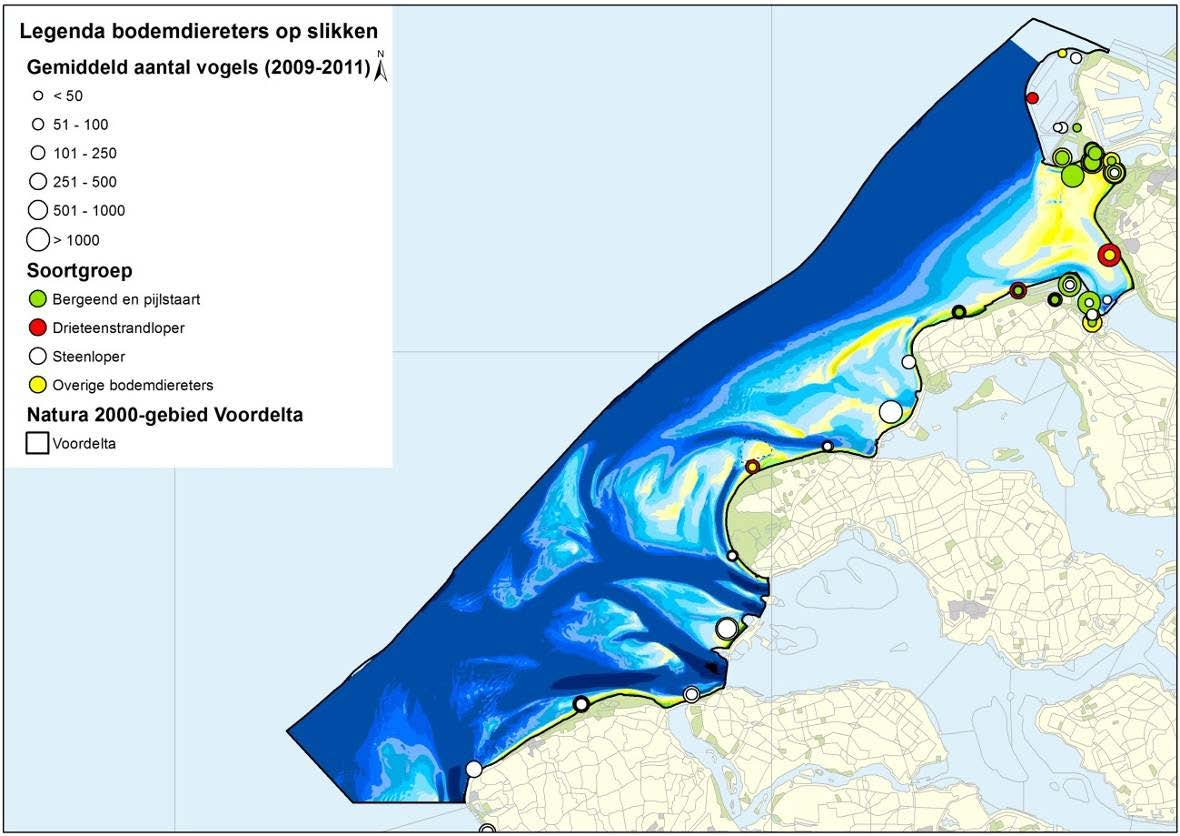 Natura 2000 Beheerplan Voordelta 2015-2021 mei 2015 Figuur 4.15 Actuele verspreiding bodemdiereters (op de slikken) (2009-2011) Tabel 4.
