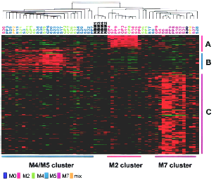 GEP en AML FAB-subtypes Clustering of patients based on the expression data of the 213 FAB subtypespecific genes. Each column represents a patient, and each row represents a gene.