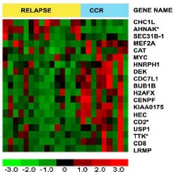 Remissie of recidief voor T-ALL bij volwassenen Expression of 19 selected genes in T-ALL from 8 patients who remained in CCR for >2 years and 16 patients who relapsed <2 years after