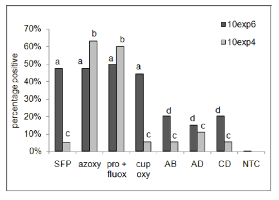 Bijlage 2. Details van onderzoeksresultaten In deze bijlage staan details over onderzoeksresultaten zoals die in tabel 2 staan samengevat. Burkholderia gladioli pv. alliicola in ui.