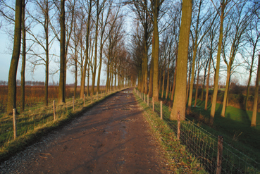 EEN DUBBELE KERING AANGEWEZEN ALS COMPARTIMENTERINGSKERING Als beide keringen zijn aangewezen als compartimenteringskering (zie Figuur 7.