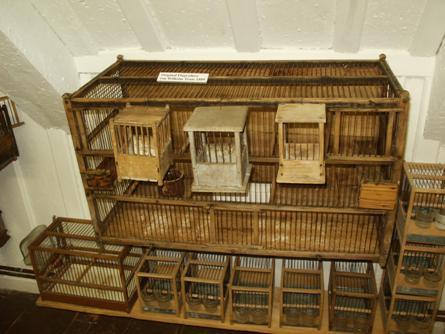 Naast een bijverdienste met het fokken van kanaries was er voor het transport van de vogels ook veel vraag naar zangkooitjes en vervoerskooitjes, de zogenaamde Reffen.
