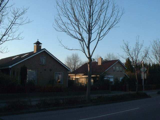 blokken in de straat kenmerken zich door overeenstemming in architectuur. Zo zijn de nummers 96-114 gelijk van opzet, evenals het rijtje met de nummers 39-61.