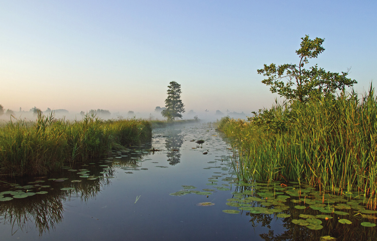 De Wieden en Weerribben zijn aangewezen als Natura 2000-gebied vanwege de bijzondere planten en dieren, zoals moerasvogels, de grote vuurvlinder en andere insecten.