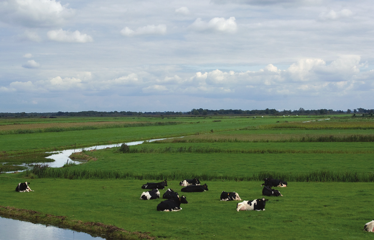 Natura 2000-beheerplan: duidelijkheid over vergunningverlening Waar worden maatregelen uitgevoerd?